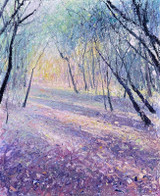 049 - Woodland Walk in October