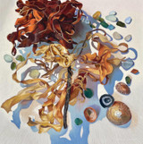 073 - Flower of The Deep