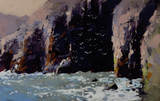 012 - Fulmars off Guernsey