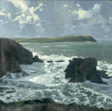 126 - Polzeath to Stepper Point