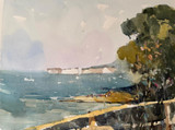 218 - Looking at Old Harry from Studland