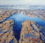278 - Tide is Turning