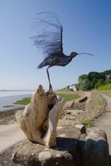 303 - Curlew: Preparing for Take-Off