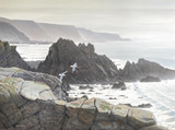 322 - Looking West from Hartland Quay