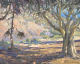 325 - Evening Shadows, Laguna