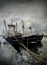 343 - Newlyn Fishing Fleet at Sundown