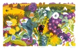 007 - Field border