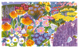 008 - Garden border