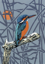 028 - Kingfisher