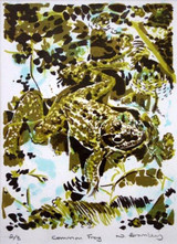 041 - Common Frog