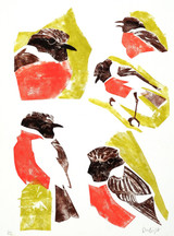 045 - Stonechat studies