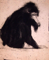 063 - Portrait of Willy