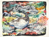 092 - Ptarmigan