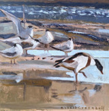 112 - Resting Terns and Shelducks