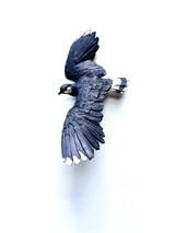 116 - Flying Lapwing 2