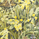 130 - Speckled Wood and Cowslips