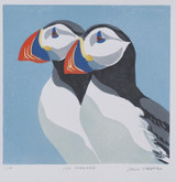 133 - Sea Parrots