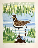 142 - Golden Plover, Culswick, Shetland