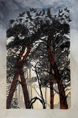 195 - Pines