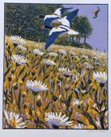 227 - Shelduck, Red Kite and Oxeye Daisies