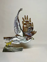 288 - Goshawk