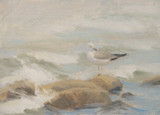 294 - Watching the tide