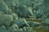 300 - Independence day - Common Sandpiper chick