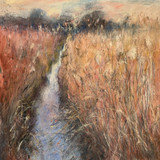 130 - Pershore Water Meadows