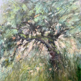 129 - Bromyard Apple Tree