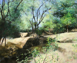 100 - Olive and Orange Grove