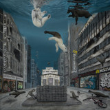 239 - Migration and Adaptation of Species