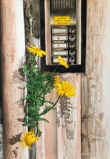 325 - Flowers Calling