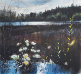 409 - Across the Lake (Stover Park)