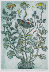 030 - Red Admiral and Lord Bute