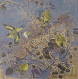 106 - Siskins