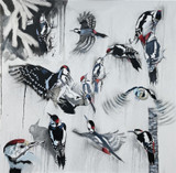 133 - A descent of Woodpeckers