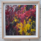 050 - Hawthorn and Gorse