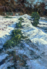 085 - Winter Harvest