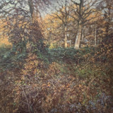 117 - Autumn, Boldshaves