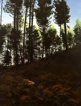 161 - Last of the Light: Cannock Chase