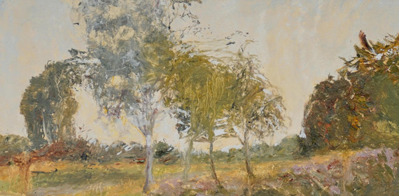 002 - Whitmoor Common