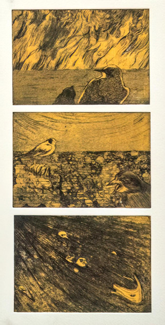 011 - The Three Calamities - Fires, Droughts, and Floods