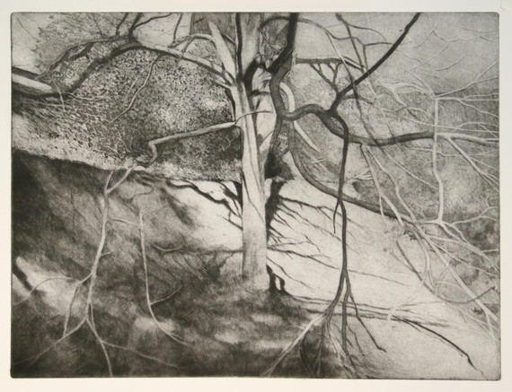 091 - Chestnut in Winter 1