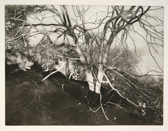 092 - Chestnut in Winter 2