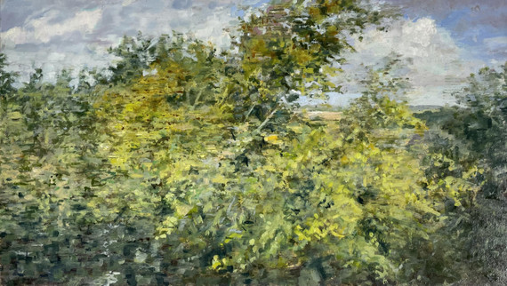 093 - Glimpse Longfield