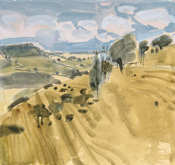 170 - From Rawlsbury Hill Fort