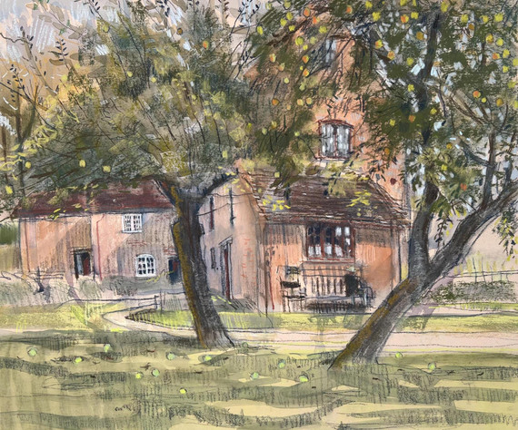 172 - Ripening Apples at White Mill