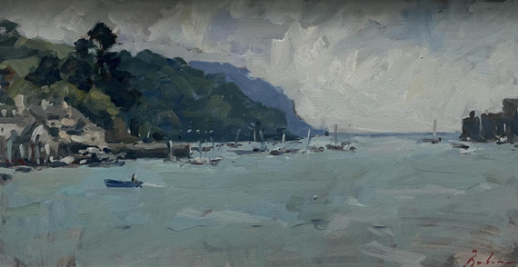 029 - The Dart Estuary, Devon