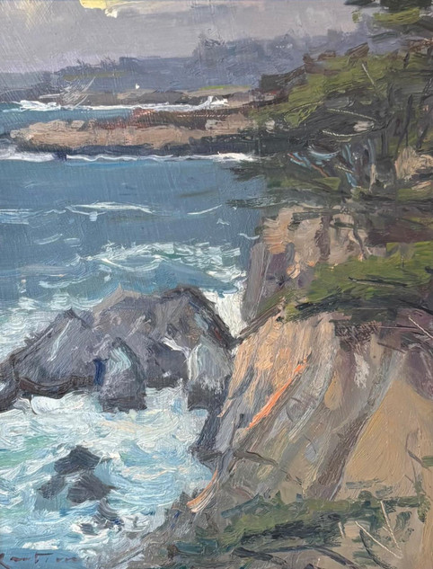 354 - Wild Day Point Lobos