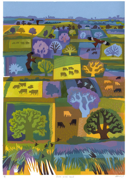 005 - Fields Kites cows